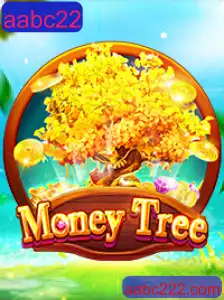 Explorando o Dinâmico Universo de MoneyTree